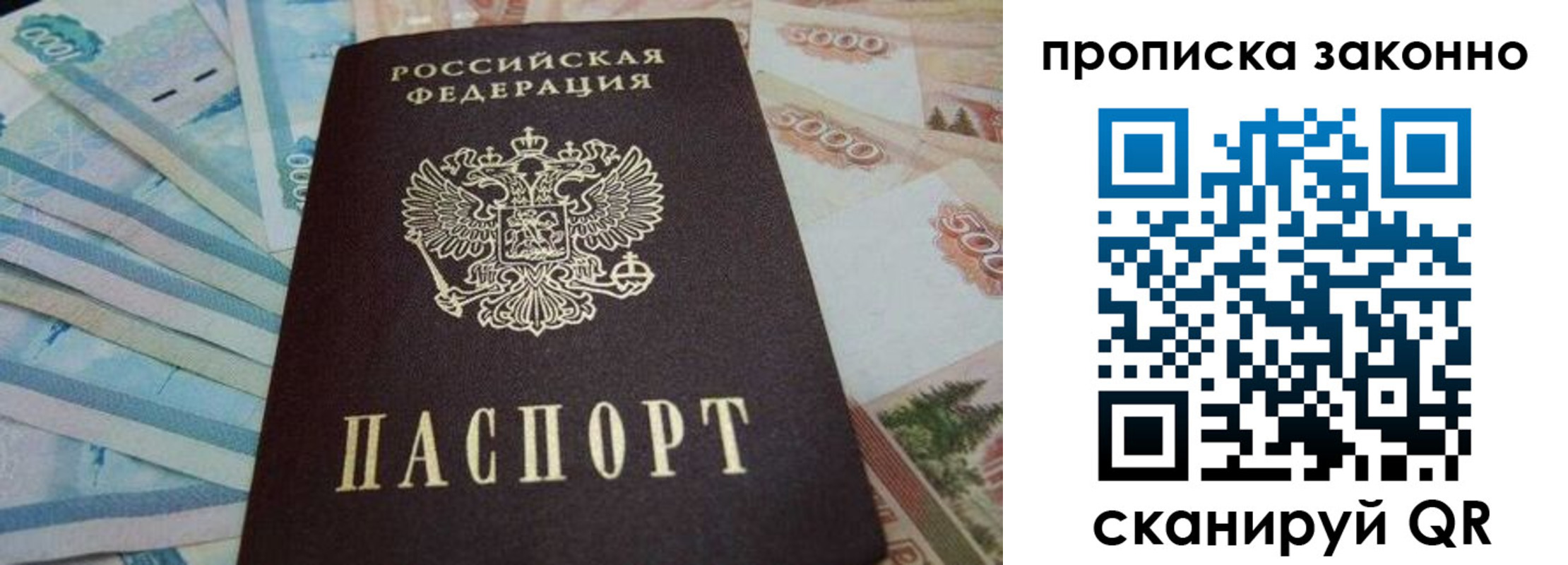 прописка для работы в Дмитрове